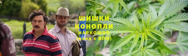 прущие грибы Туринск